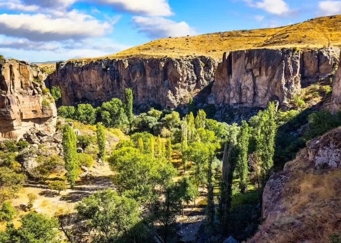 Green valley with cliffs in Ihlara, Cappadocia