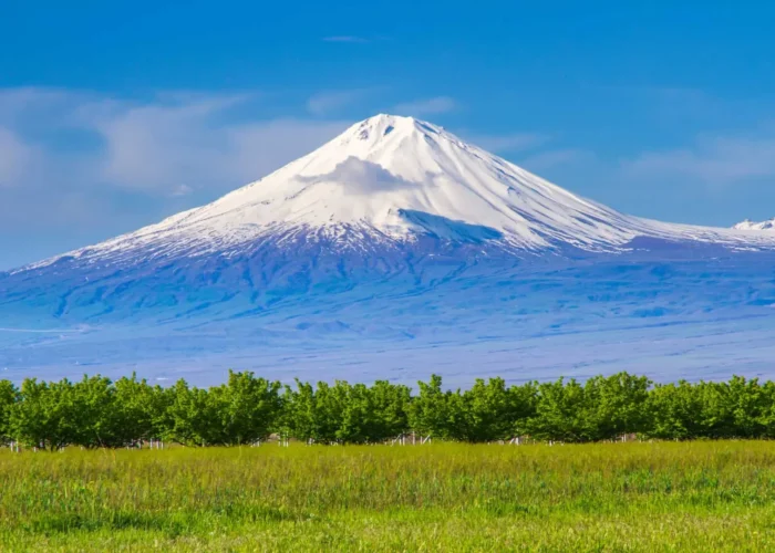 Mount Ararat with snowy peak and green fields