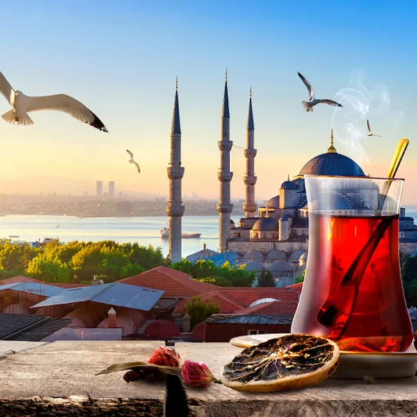 Panoramic view for Istanbul packages and tours