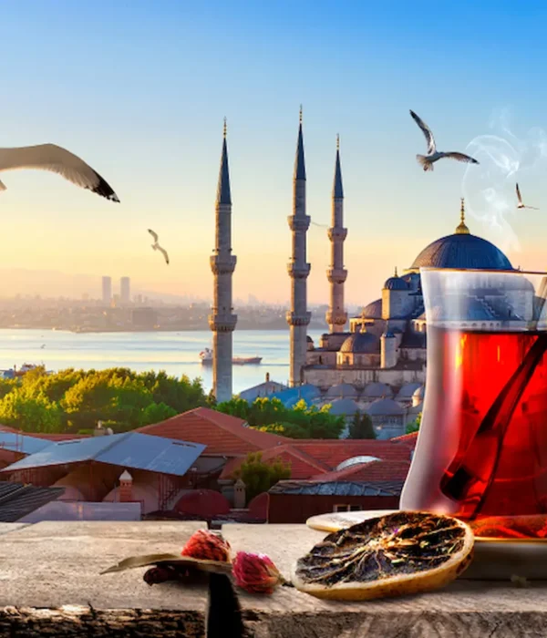 Panoramic view for Istanbul packages and tours