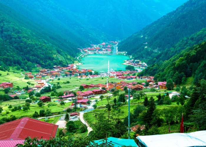 Panoramic view of Uzungol village and lake from above