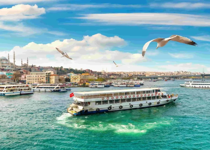 Tour boats sailing on the Bosphorus with seagulls
