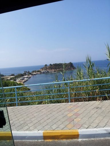 Photo from customer review